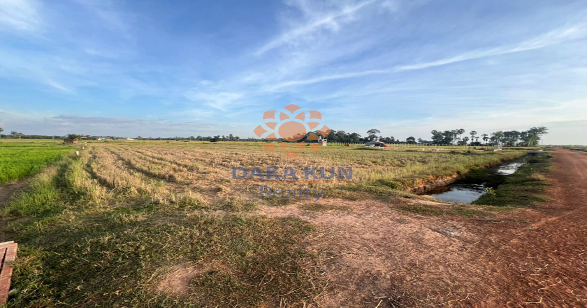 Land For Sale In Siem Reap City-Prasat Bakong